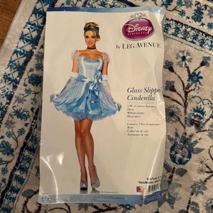 Cinderella Cute Teen / Woman / Junior Women’s Short Blue Dress Halloween Costume